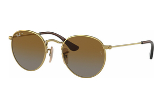 Ray-Ban Junior RJ9547S 223/T5 BrownGold