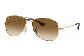 Ray-Ban RB3362 001/51 Light Brown GradientGold