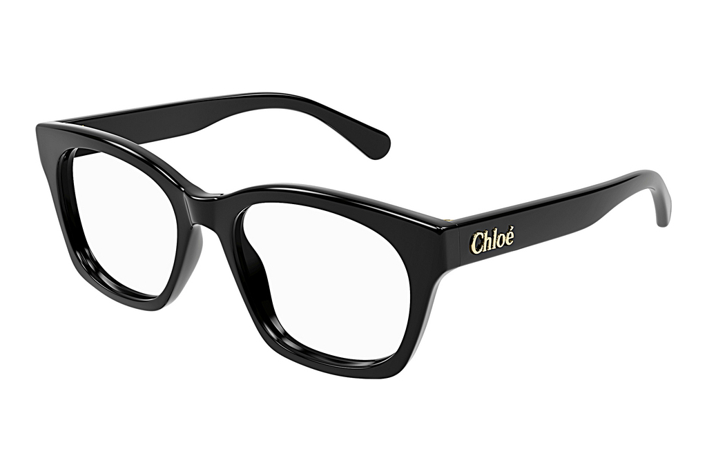 Chloé   CH0244O 001 BLACK