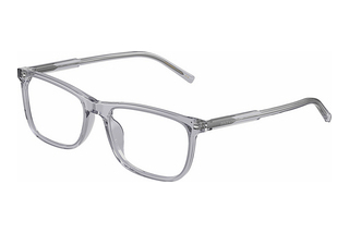 Dolce & Gabbana DG3427 3291 Transparent Grey