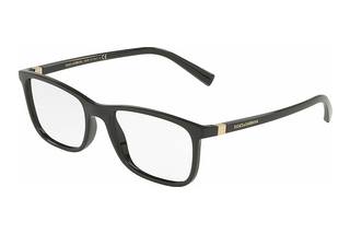 Dolce & Gabbana DG5027 501