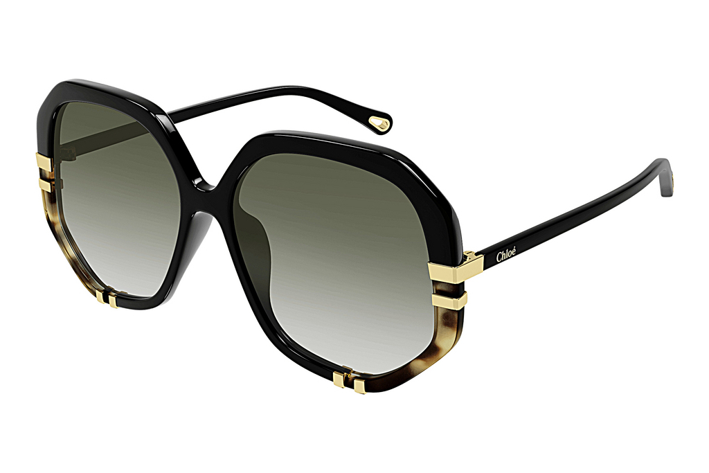 Chloé   CH0105S 006 BLACK