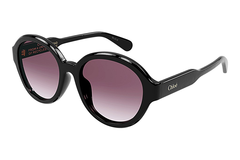 Chloé   CH0156SK 001 BLACK