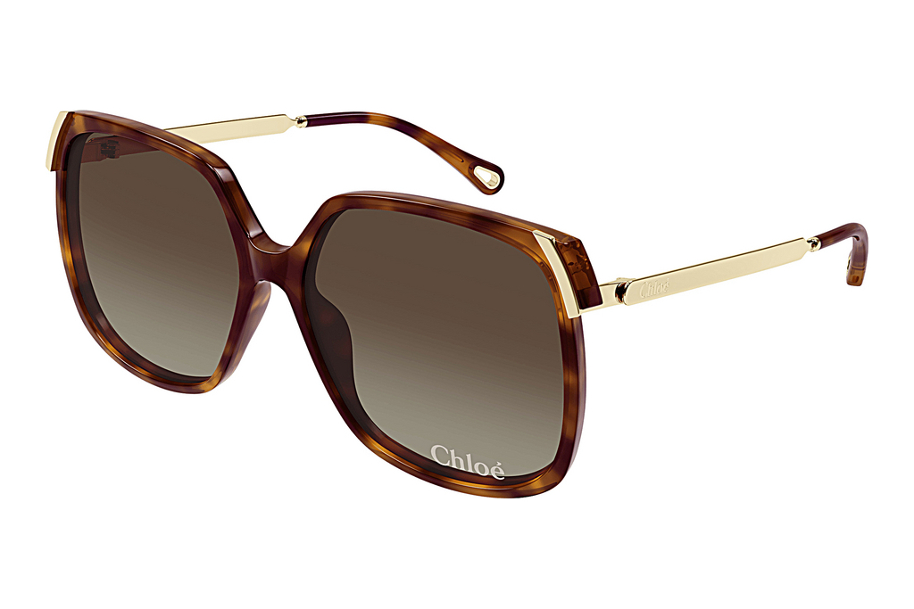 Chloé   CH0286S 002 HAVANA