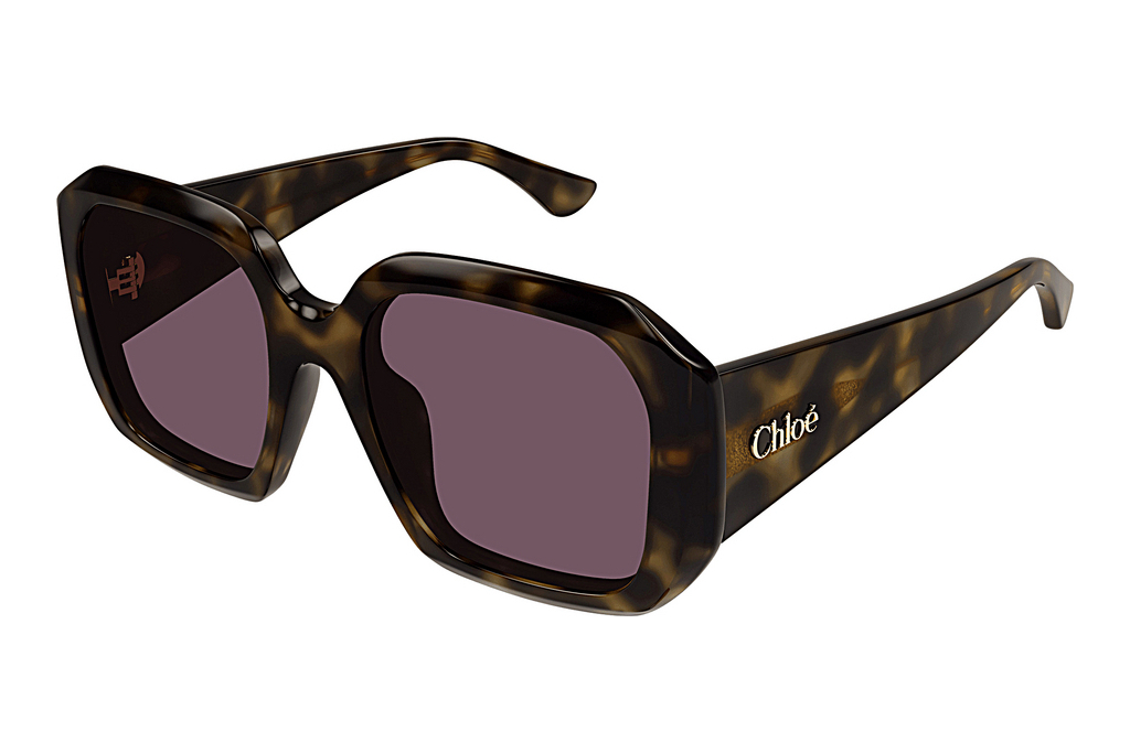 Chloé   CH0300S 002 HAVANA