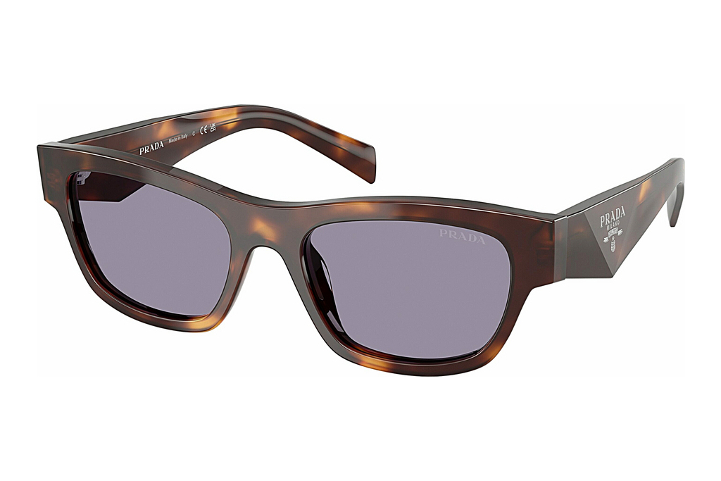 Prada   PR B09S 15W03N GreyClassic Tortoise