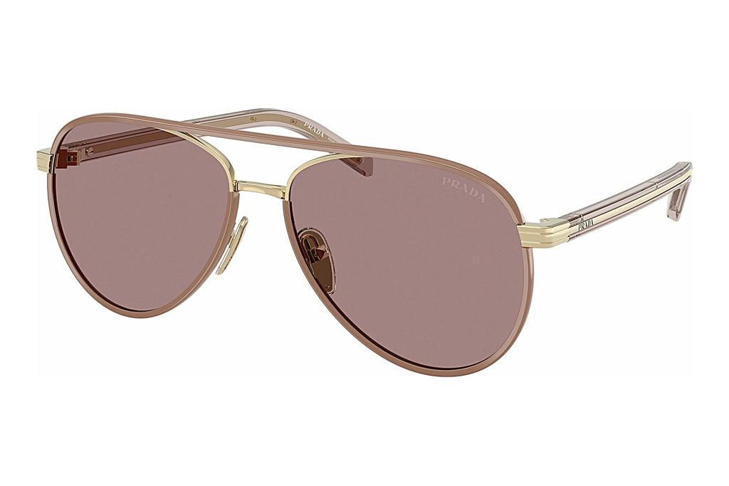 Prada   PR B57S 24E20I Light Purple BrownPale Gold