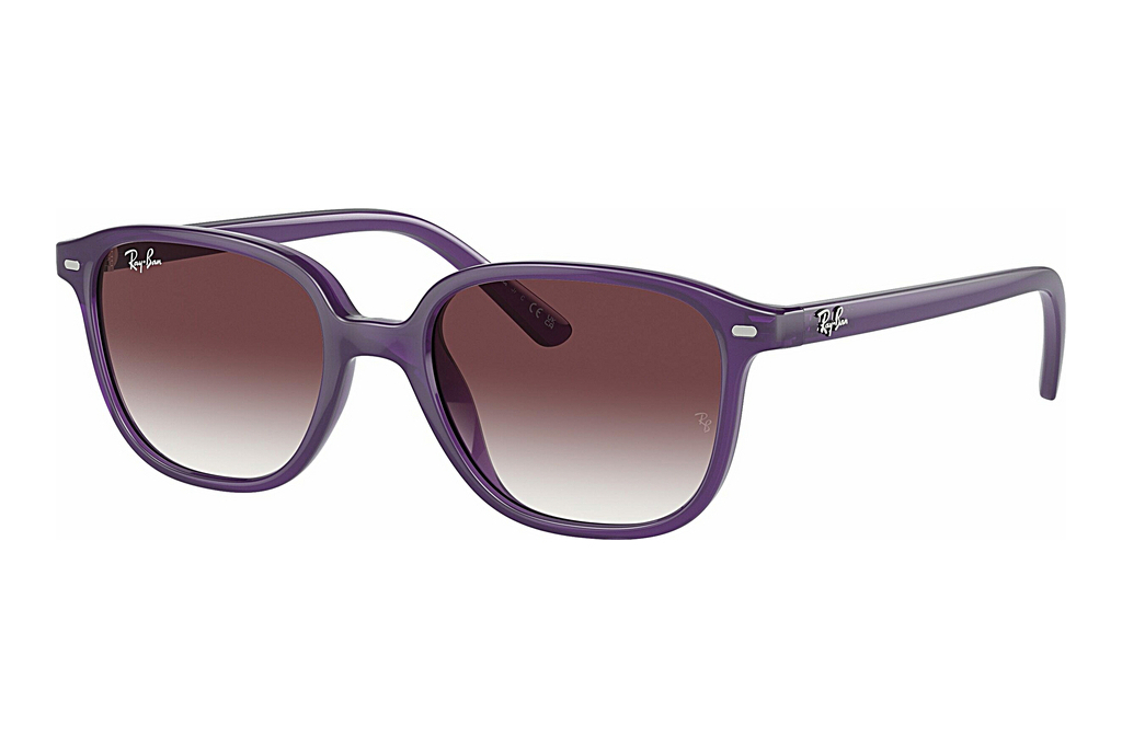 Ray-Ban Kids   RJ9093S 713136 Grey/VioletOpal Violet