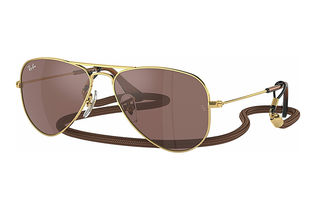 Ray-Ban Kids   RJ9506S 223/6G Brown Mirror SilverArista Gold