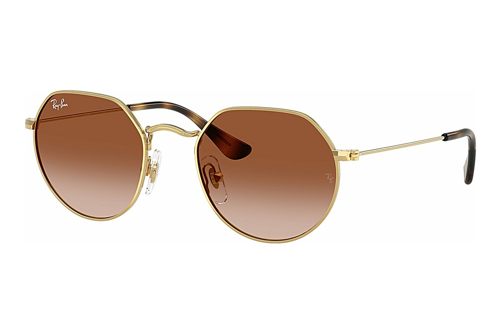 Ray-Ban Kids   RJ9565S 223/13 Gradient BrownArista Gold