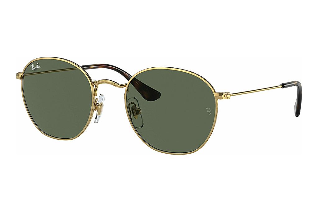 Ray-Ban Kids   RJ9572S 223/71 Dark GreenArista Gold