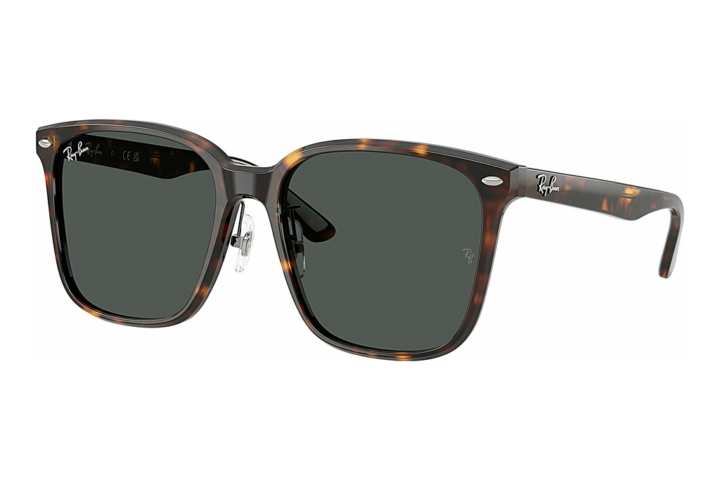 Ray-Ban   RB2206D 710/87 Dark GreyHavana