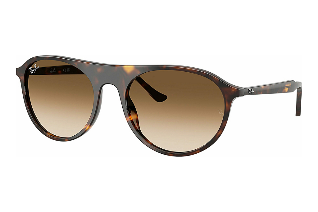 Ray-Ban   RB2215 902/51 Clear Gradient BrownHavana