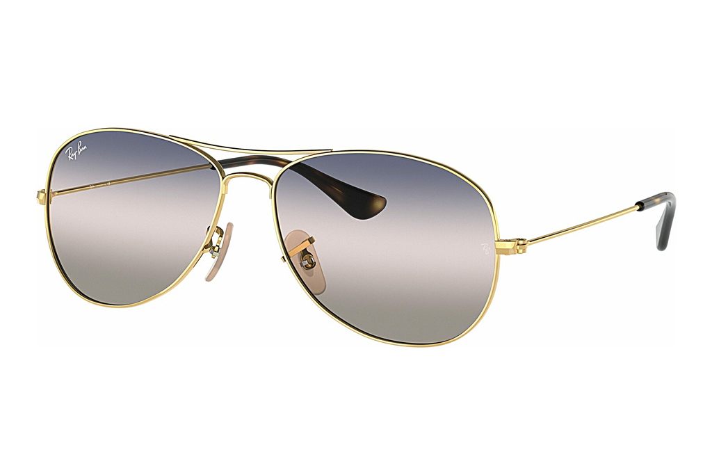 Ray-Ban   RB3362 001/GE Pink/Blue GradientGold