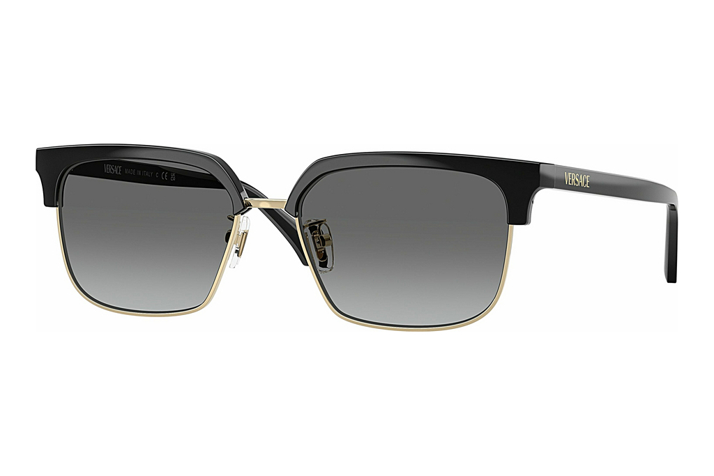 Versace   VE4494D GB1/11 Gradient GreyBlack