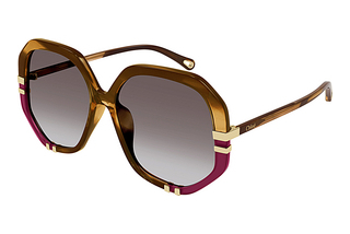 Chloé CH0105S 009 HAVANA