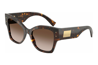 Dolce & Gabbana DG4478 502/13 Gradient BrownHavana