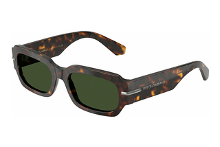 Dolce & Gabbana DG4485 502/71 Dark GreenHavana