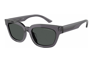 Emporio Armani EA4233U 610687 Dark GreyTransparent Grey