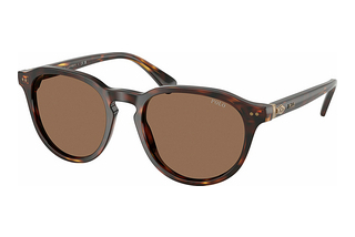 Polo PH4221 613773 Dark BrownShiny Brown Tortoise