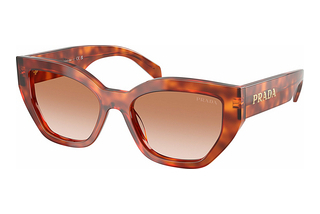 Prada PR A09S 11P70E Brown GradientCognac Tortoise