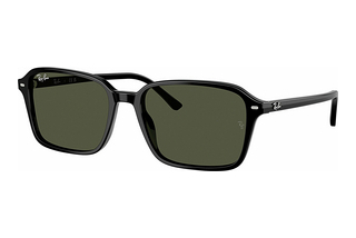 Ray-Ban RB2231 901/31