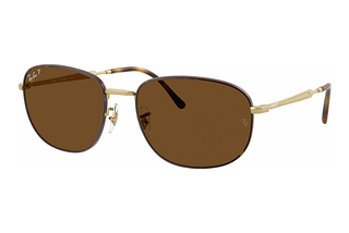 Ray-Ban RB3754 927557 Polar BrownMatte Havana On Matte Arista Gold