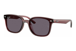 Ray-Ban RB4461D 659373 VioletTransparent Dark Brown