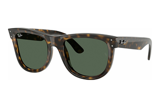 Ray-Ban RBR0502S 6790VR