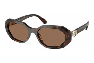 Swarovski SK6028 100273 Dark BrownDark Havana