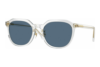 Versace VE4493D 551971 Dark BlueTransparent Grey