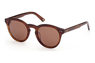 Web Eyewear WE0307 53G