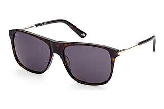 Web Eyewear WE0310 52N