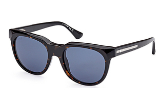 Web Eyewear WE0335 56V