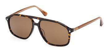 Web Eyewear WE0338 52H