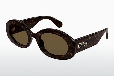 Chloé CH0258S 002 Napszemüveg