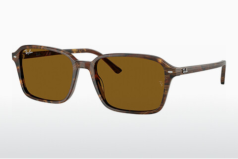 Ray-Ban RAIMOND (RB2231 141833) Napszemüveg