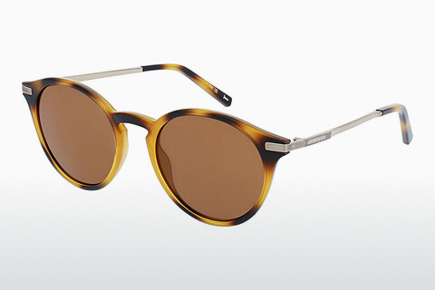 Ted Baker 1632 100 Napszemüveg