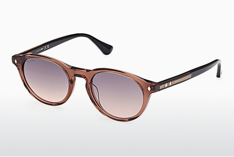 Web Eyewear WE0337 57B Napszemüveg