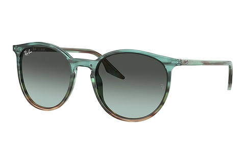 Ray-Ban RB2204 1394GK Napszemüveg