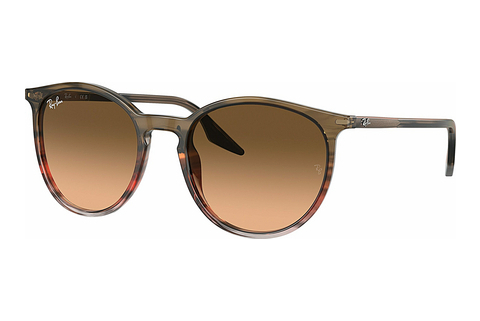 Ray-Ban RB2204 13953B Napszemüveg