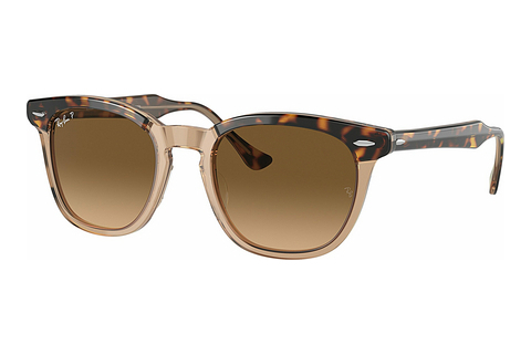 Ray-Ban HAWKEYE (RB2298 1292M2) Napszemüveg