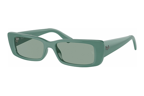 Ray-Ban TERU (RB4425 676282) Napszemüveg