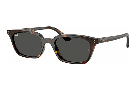 Ray-Ban ZAYA (RB4456 135987) Napszemüveg