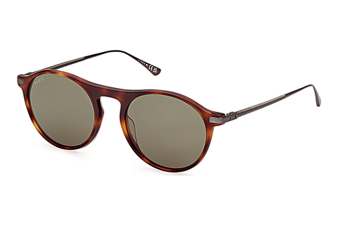 Web Eyewear WE0346 52N Napszemüveg