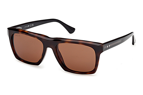 Web Eyewear WE0350 55E Napszemüveg
