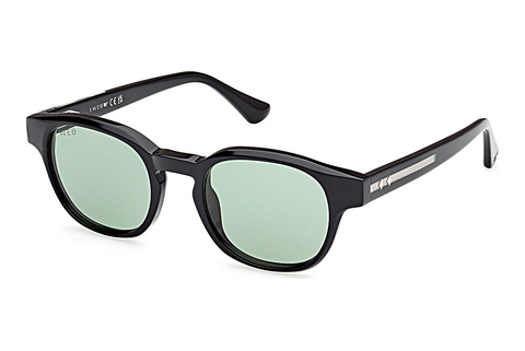 Web Eyewear WE0361 05N Napszemüveg