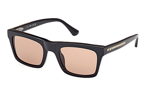 Web Eyewear WE0362 05J Napszemüveg