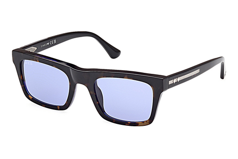 Web Eyewear WE0362 56V Napszemüveg