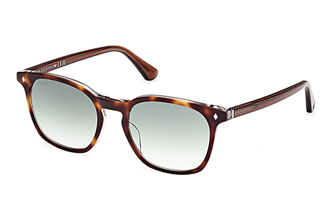 Web Eyewear WE0364 56P Napszemüveg
